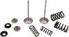 Intake Valve Kit