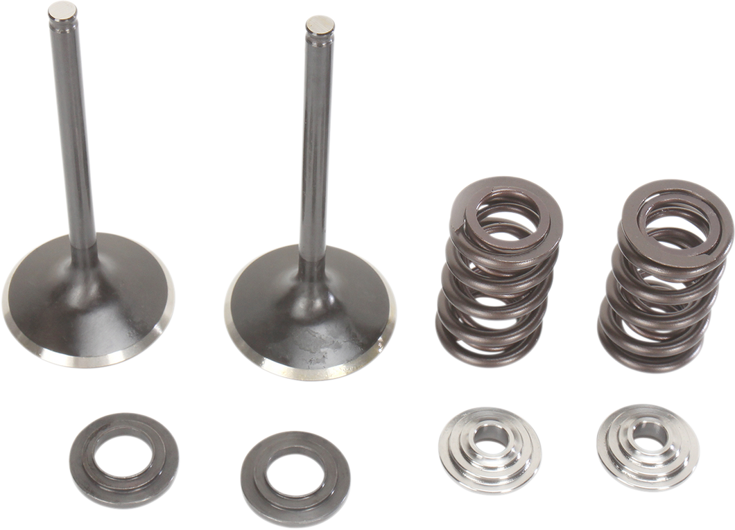 Intake Valve Kit