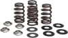 Beehive Valve Spring Kit