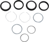Fork Seal Kit - 49 mm