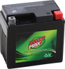 Battery - YTX5L-BS