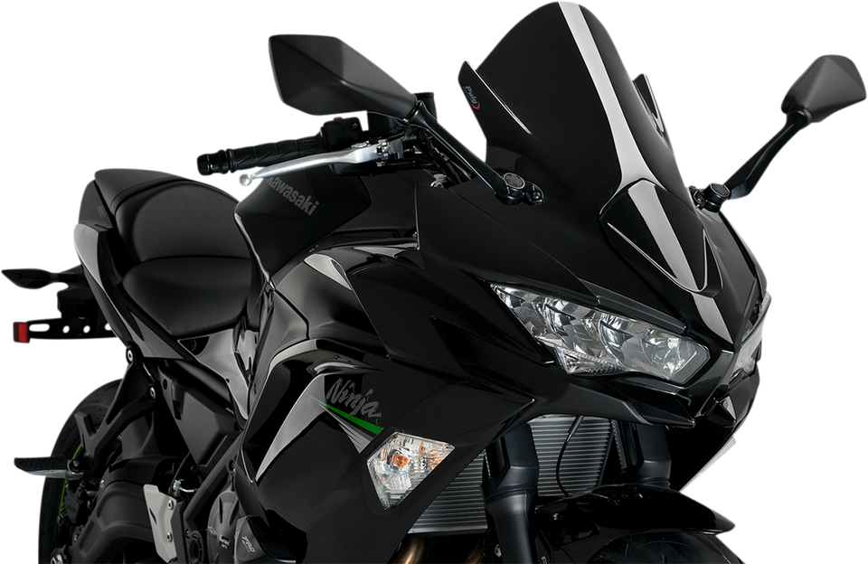 Race Windscreen - 19" - Black - Kawasaki - Lutzka's Garage