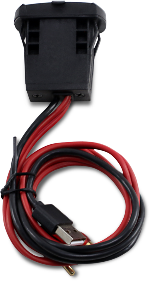 Dash-Mounted USB charge port with 3.5 mm Audio Input - Switch Port Mount