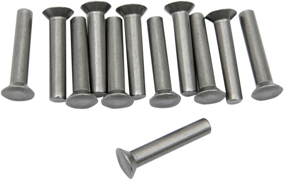 Ratchet Plate Rivets