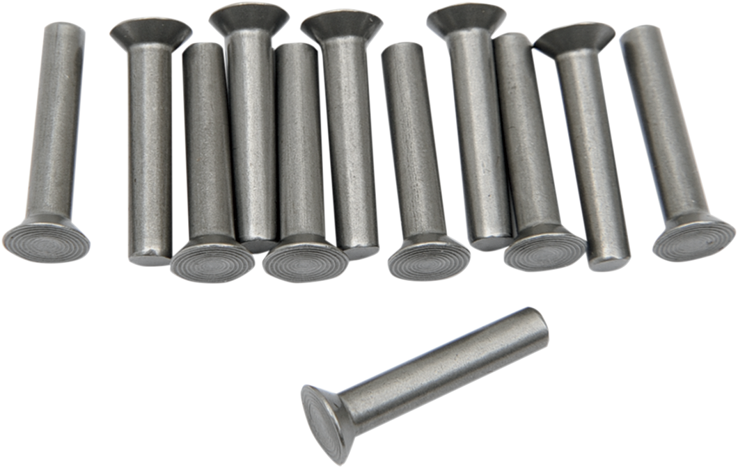 Ratchet Plate Rivets