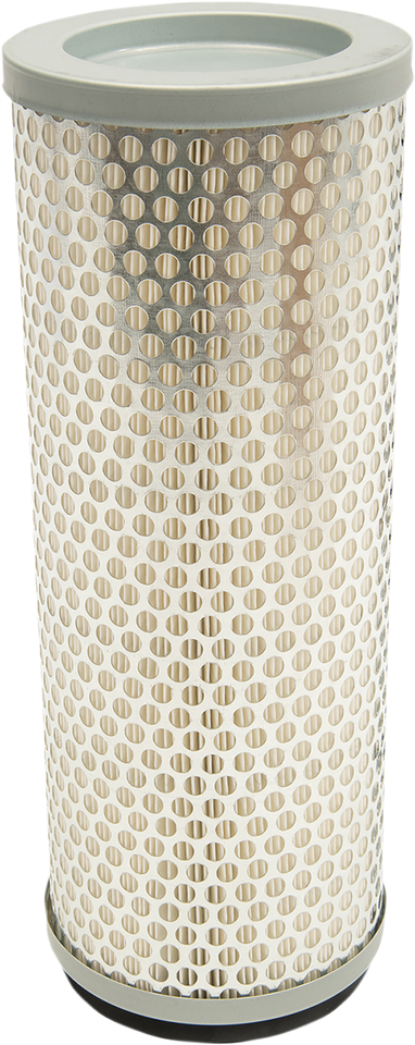 Replacement Air Filter - Polaris