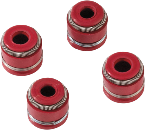 Valve Seal Kit