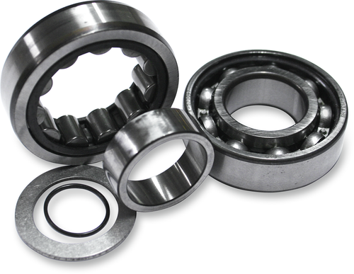 Cam Outer Bearing