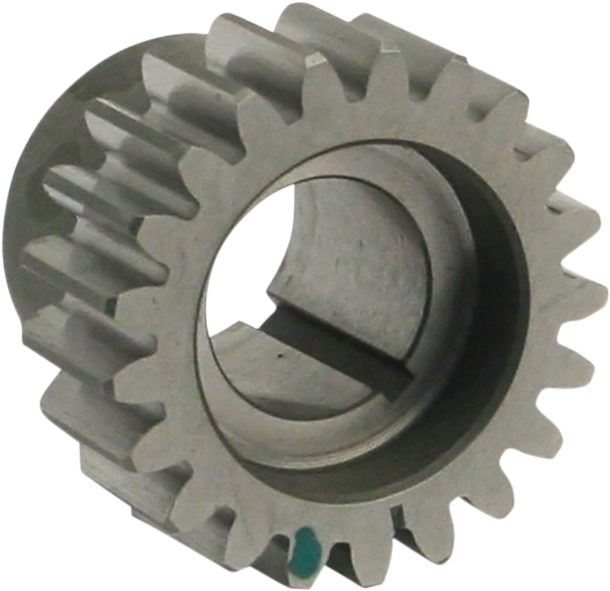 Pinion Gear