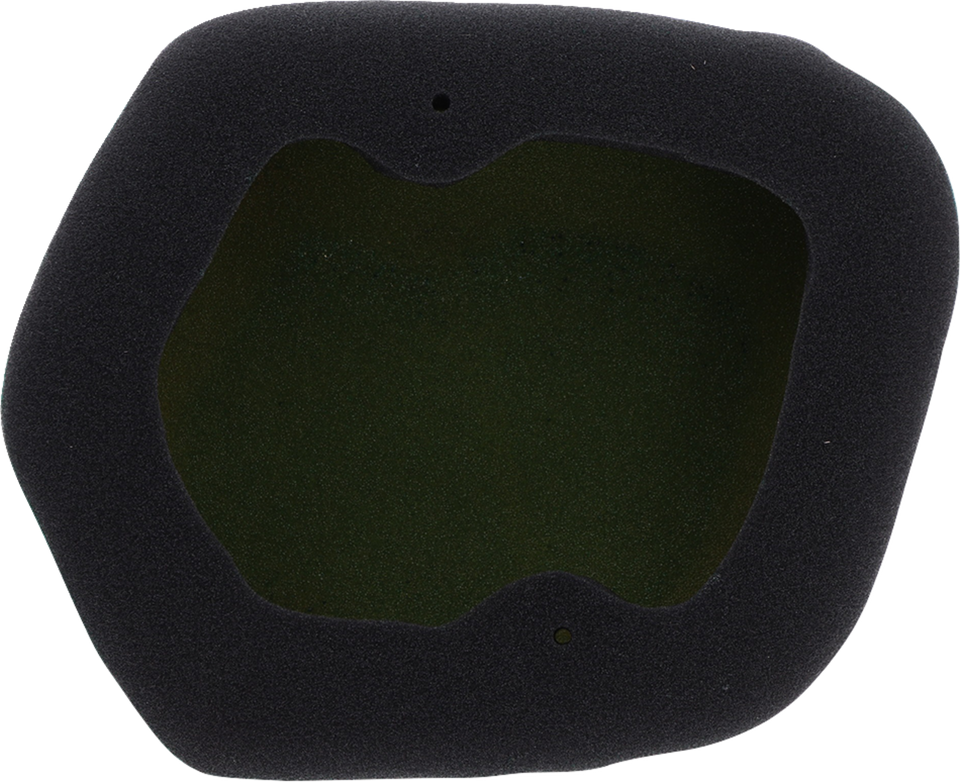 Factory Pre-Oiled Air Filter - KTM/Husqvarna/Gas Gas