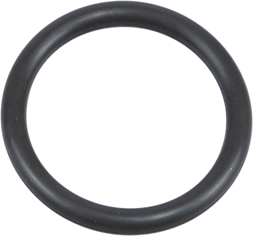 Viton O-Ring