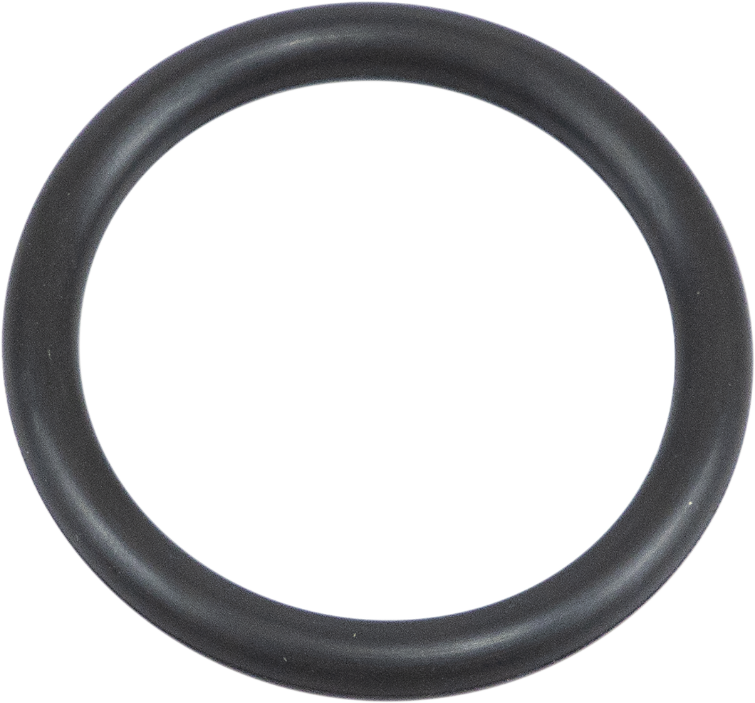 Viton O-Ring