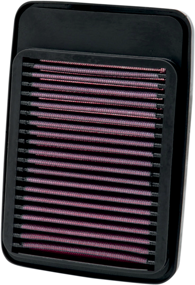 Air Filter - GSF650/1200