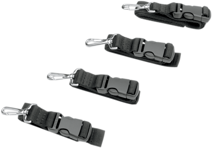 Tour-Pak® Luggage Bag