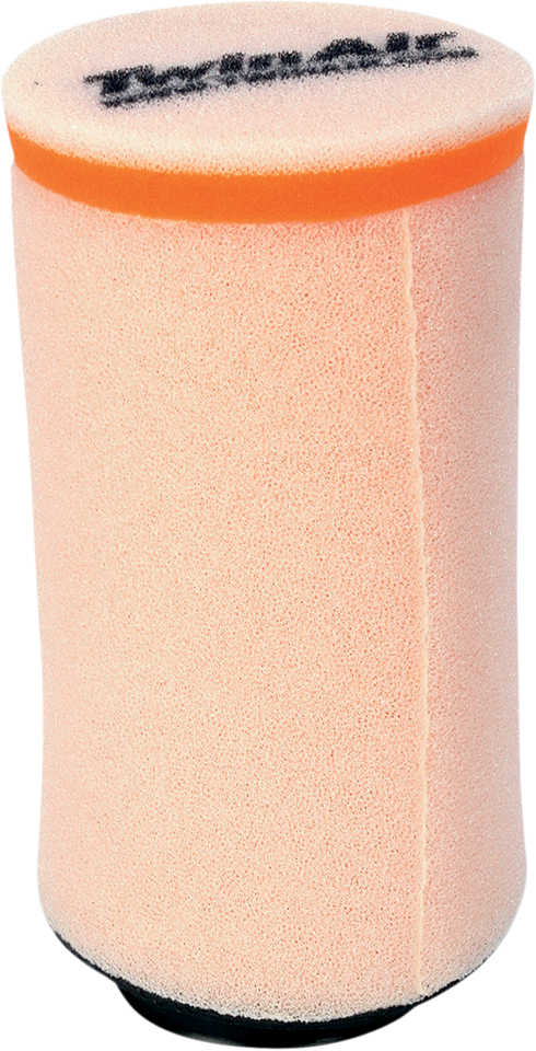 Air Filter - Polaris