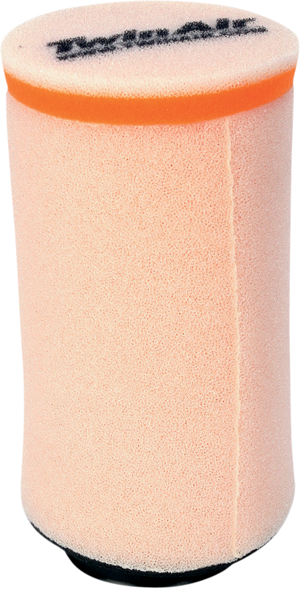 Air Filter - Polaris