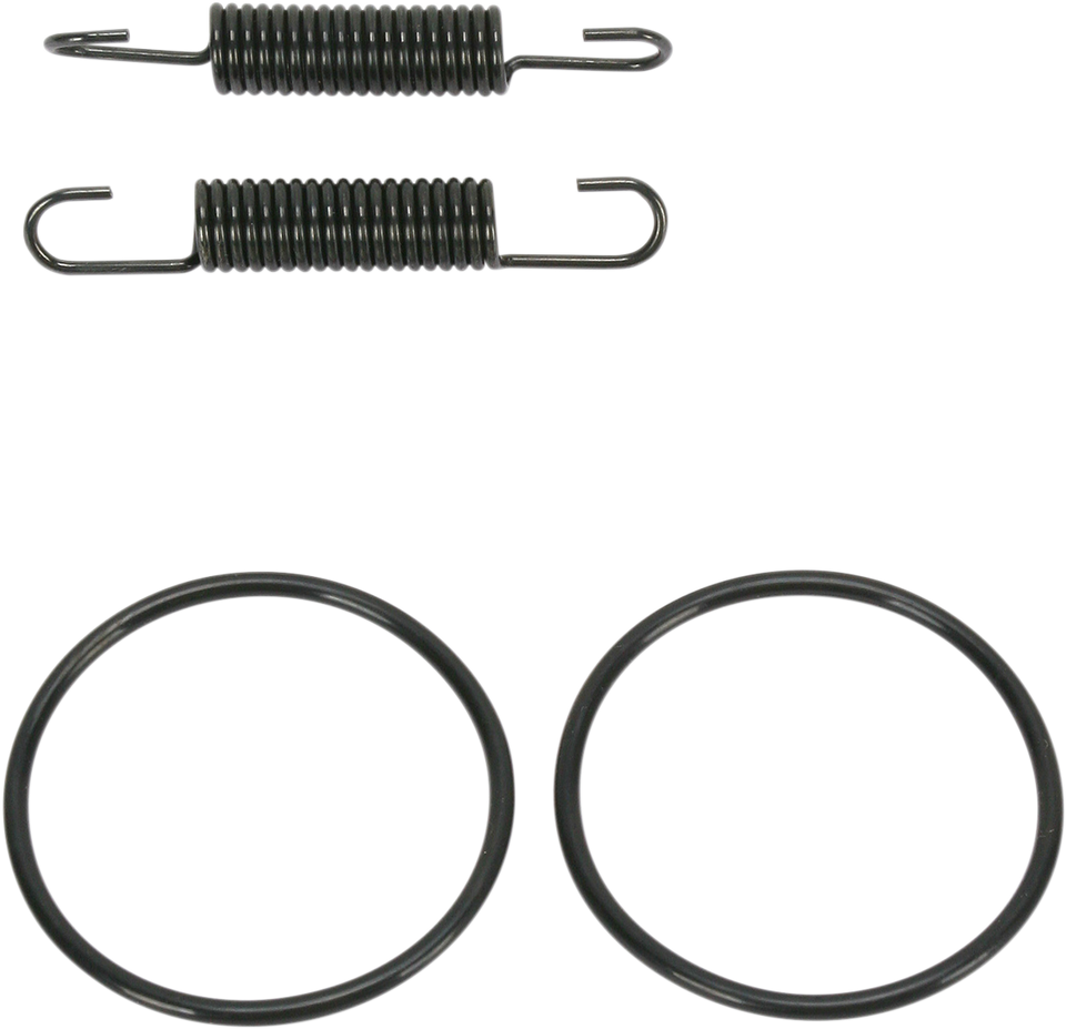 Spring and O-Ring Kit