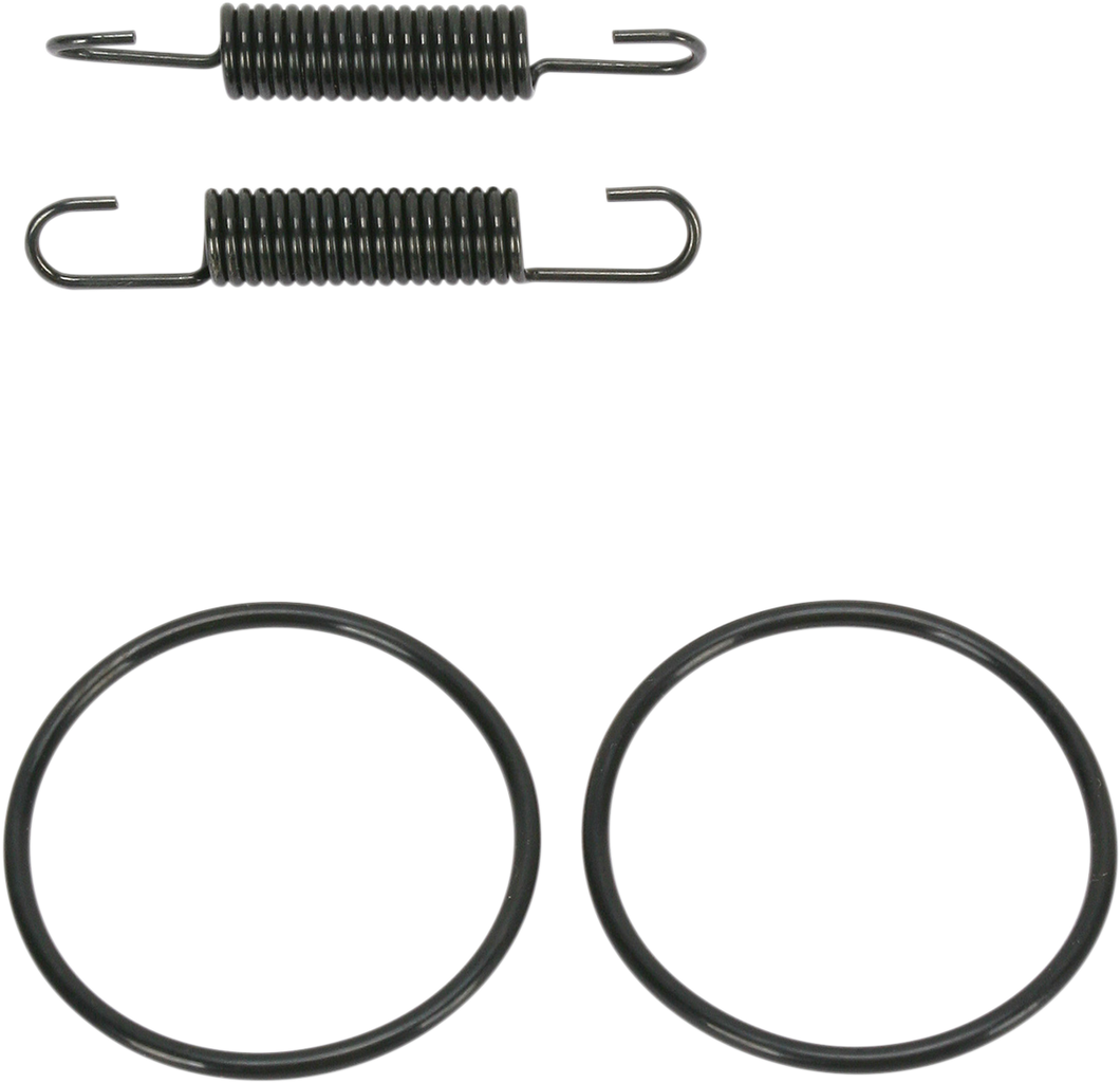 Spring and O-Ring Kit