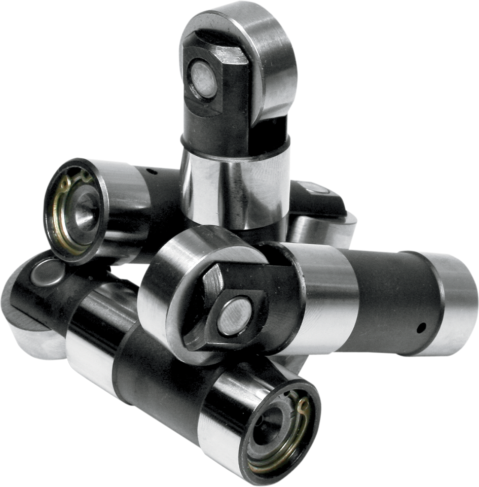 Lifters - Race Series - Evolution