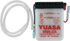 Battery - Y6N4-2A