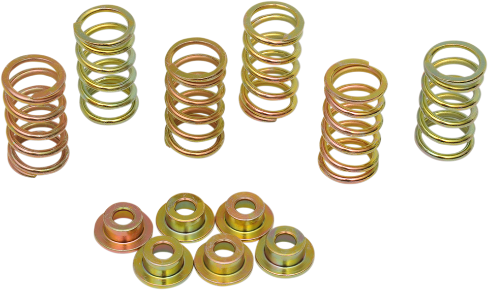 Clutch Spring Kit