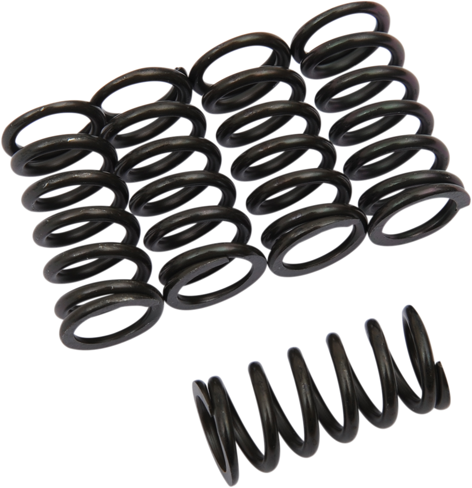 Clutch Springs