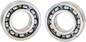 Outer Cam Bearings