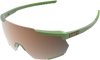 Racetrap Sunglasses - Viperidae - Bronze Mirror Lens - Lutzka's Garage