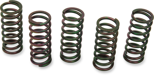 Clutch Springs