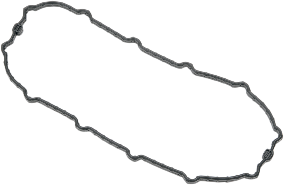 Seal For Fuel Pump Door - FXD