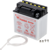 Battery - YB16CB