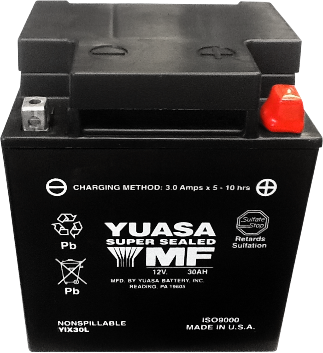 AGM Battery - YIX30L-PW