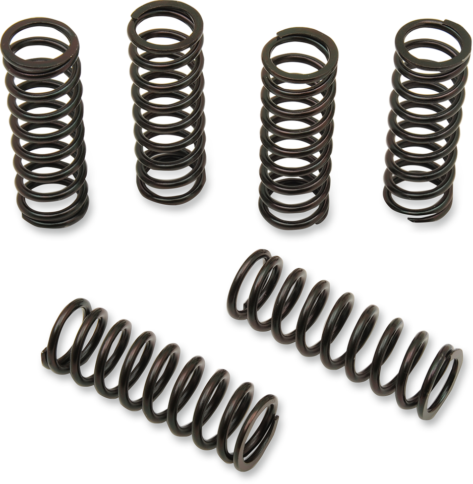 Clutch Spring Kit