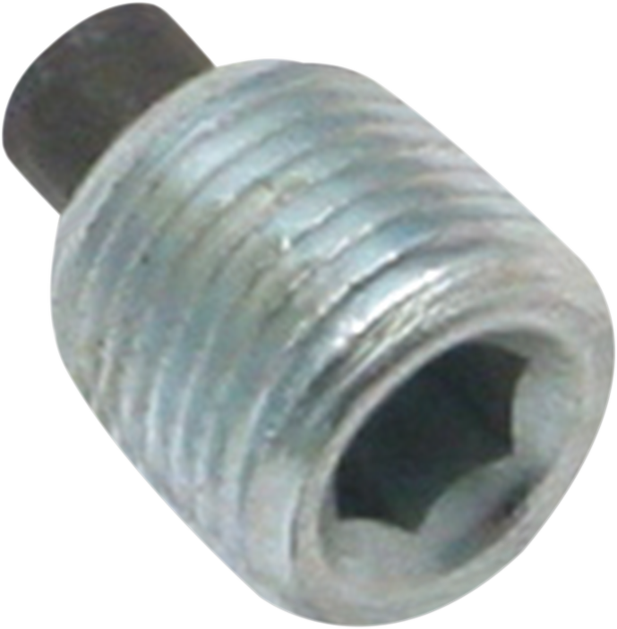 Magnetic Plug - 1/8" NPT
