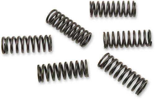 Clutch Spring Kit