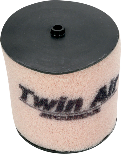 Air Filter - TRX250EX