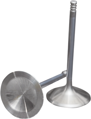 Intake Valve - Twin Cam