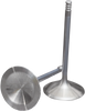 Intake Valve - Twin Cam