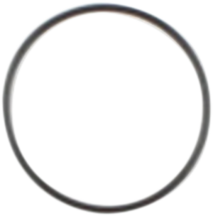 Starter O-Ring - Big Twin