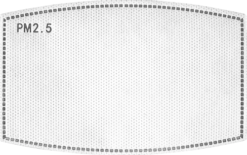 Replacement PM 2.5 Filter - 5 Pack