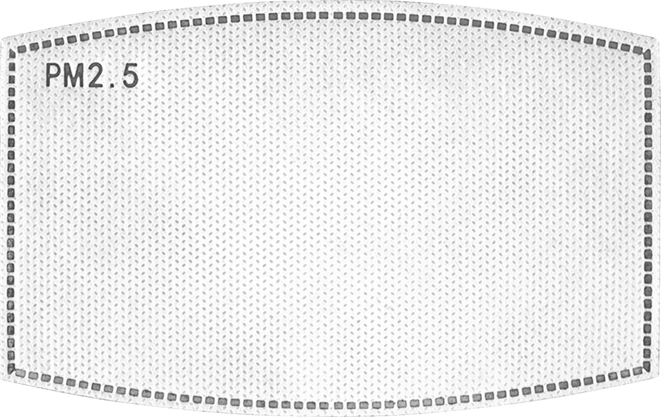 Replacement PM 2.5 Filter - 5 Pack