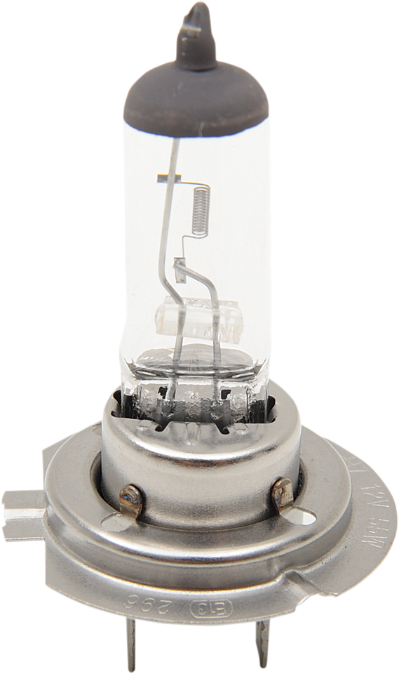 Halogen Bulb - H7 - 55 W