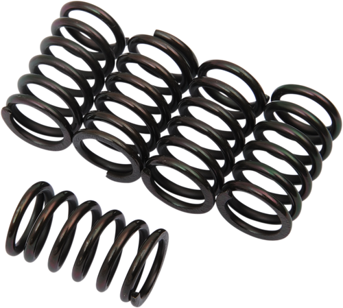 Clutch Springs