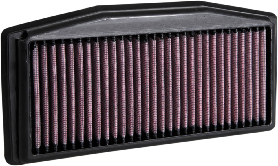 Air Filter - Triumph Street Triple