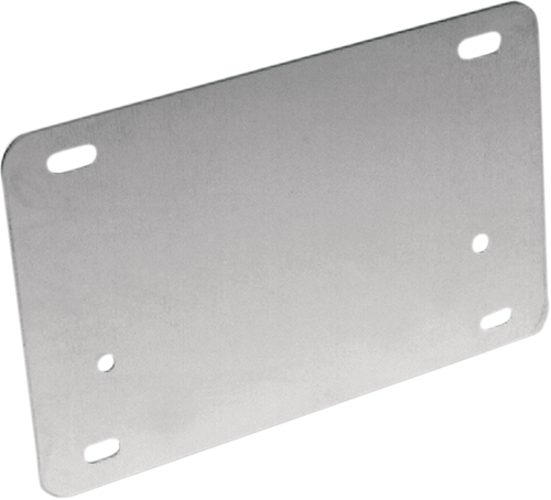 License Backing Plate - Stainless Steel - Lutzka's Garage