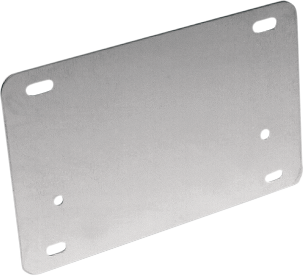 License Backing Plate - Stainless Steel - Lutzka's Garage