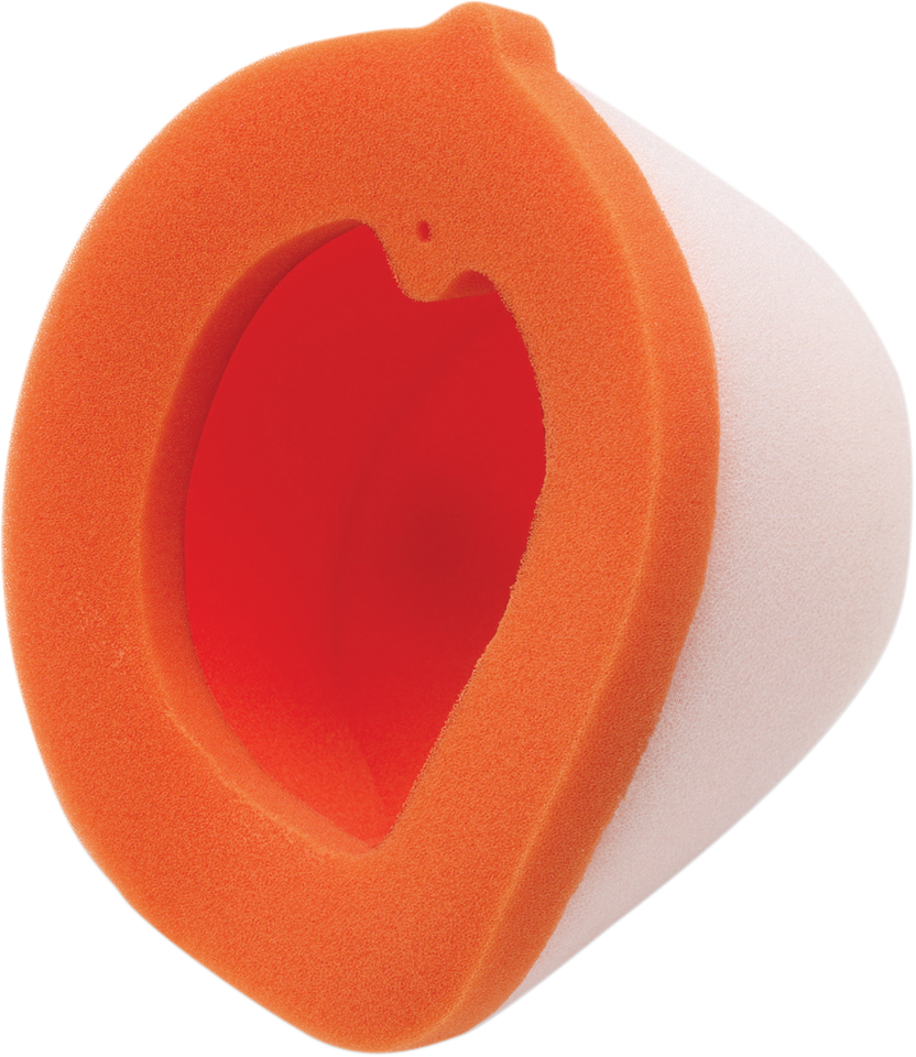 Air Filter - CR125/250