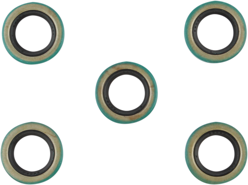 Starter Shaft Seal - EVO