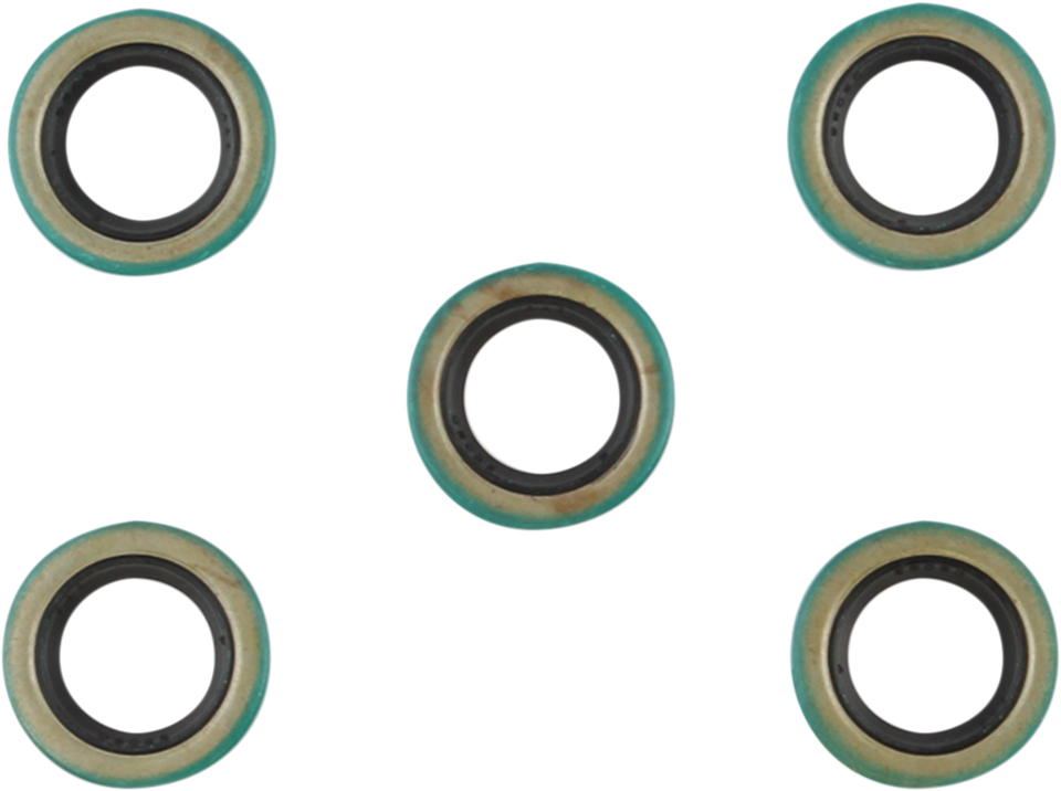 Starter Shaft Seal - EVO