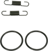 Spring and O-Ring Kit